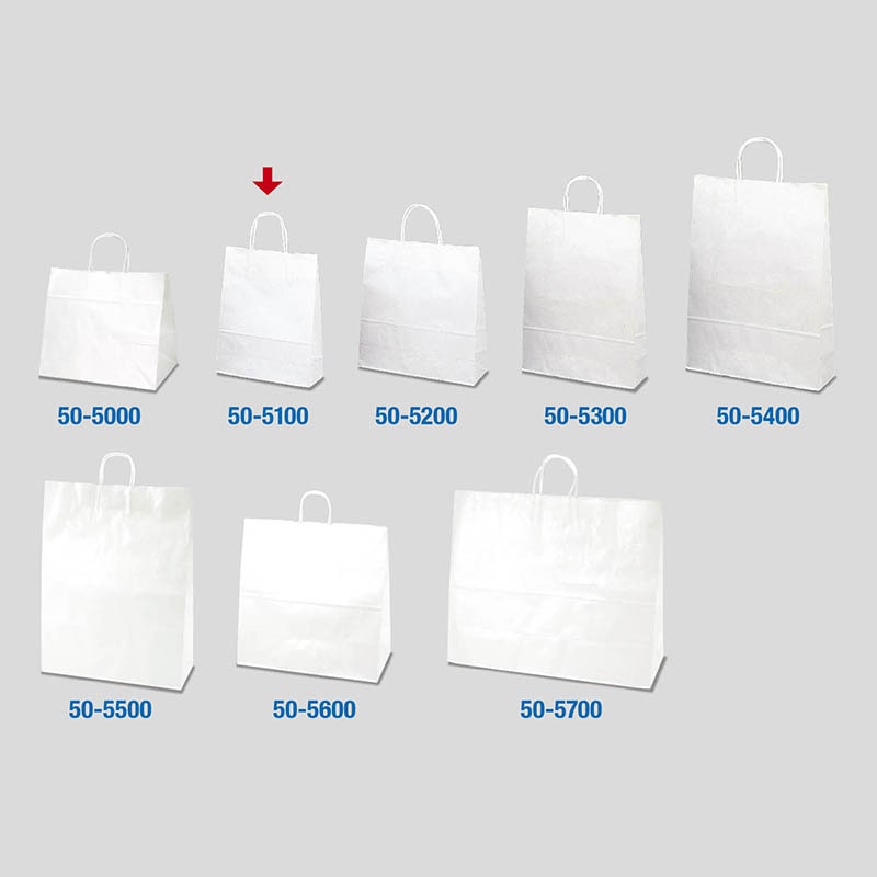 【直送品】 ササガワ 手提げ紙袋 白無地　小　50枚 50－5100 1包（ご注文単位1包）