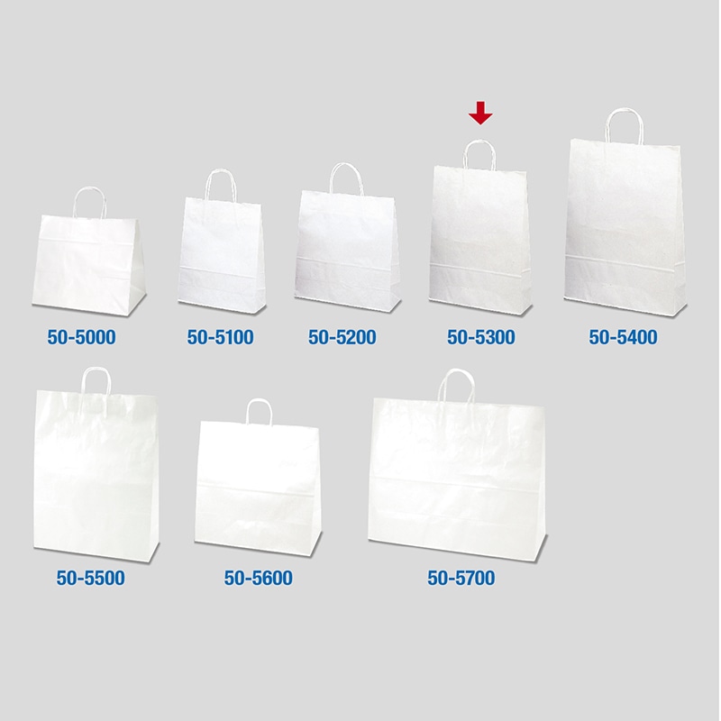 【直送品】 ササガワ 手提げ紙袋 白無地　大　50枚 50－5300 1包（ご注文単位1包）