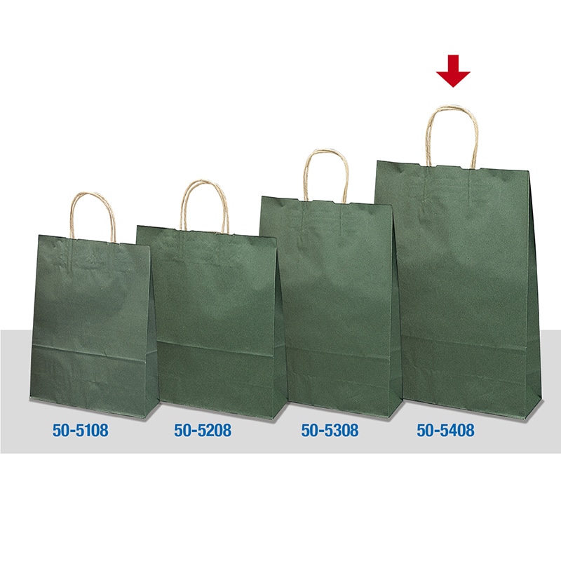 【直送品】 ササガワ 手提げ紙袋 エメラルド　特大　50枚 50－5408 1包（ご注文単位1包）
