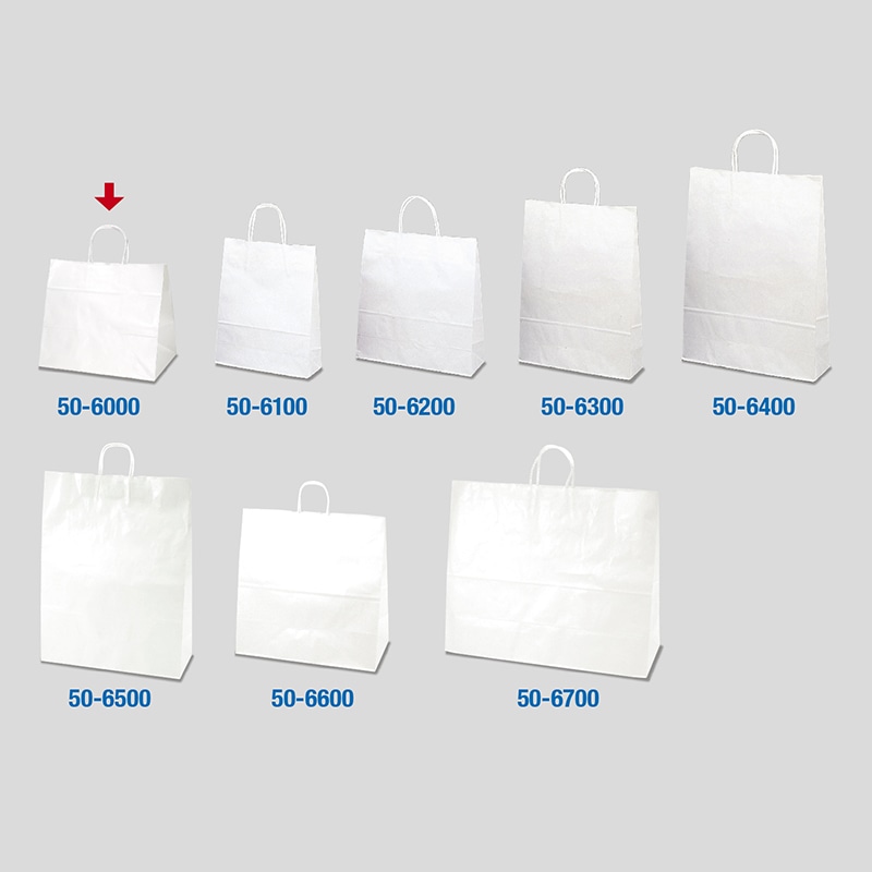 【直送品】 ササガワ 手提げ紙袋 白無地　幅広小　10枚 50－6000 1包（ご注文単位1包）