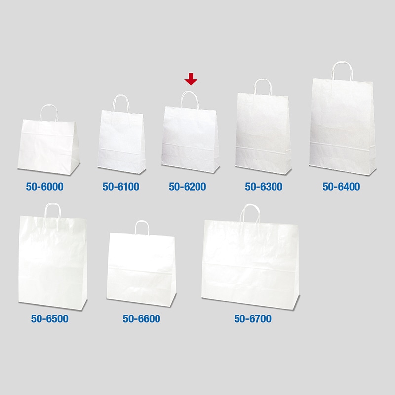 【直送品】 ササガワ 手提げ紙袋 白無地　中　10枚 50－6200 1包（ご注文単位1包）