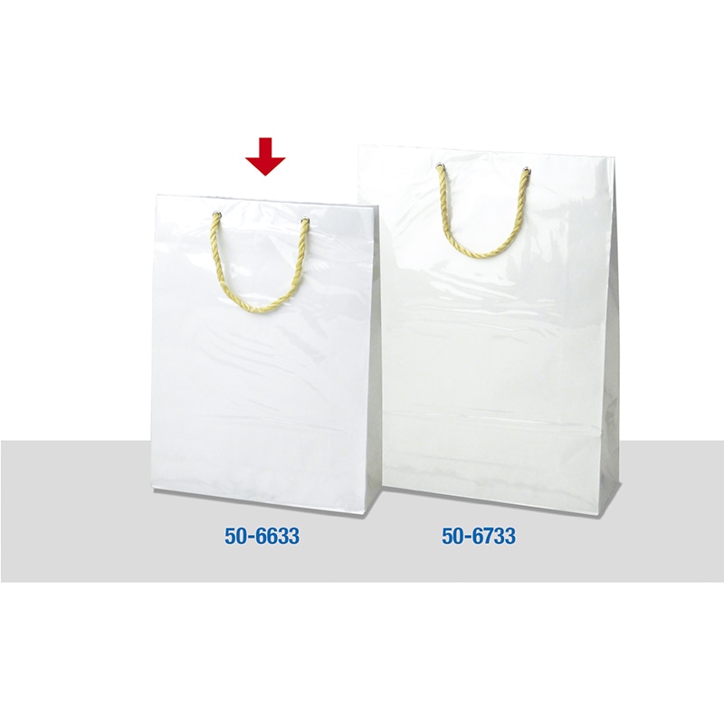 【直送品】 ササガワ 手提げ紙袋 キャリーバッグ　白 50－6633 1枚（ご注文単位5枚）