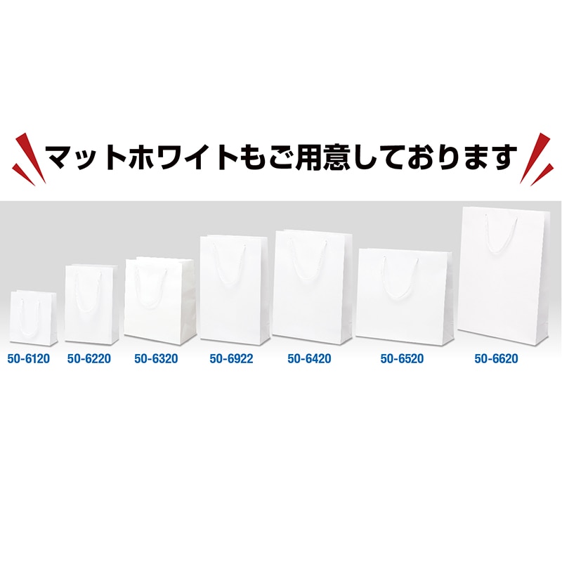 【直送品】 ササガワ 手提げ紙袋　マットブラック Y－22　H－26 50－6321 1枚（ご注文単位10枚）