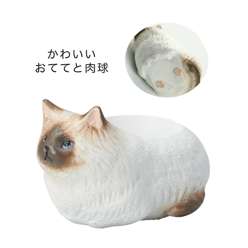 直送品】 ケー・イー・アイ リトルレジンポット くつろぎねこ ラグドール 4897 1個（ご注文単位4個）｜【シモジマ】包装用品・店舗用品の通販サイト