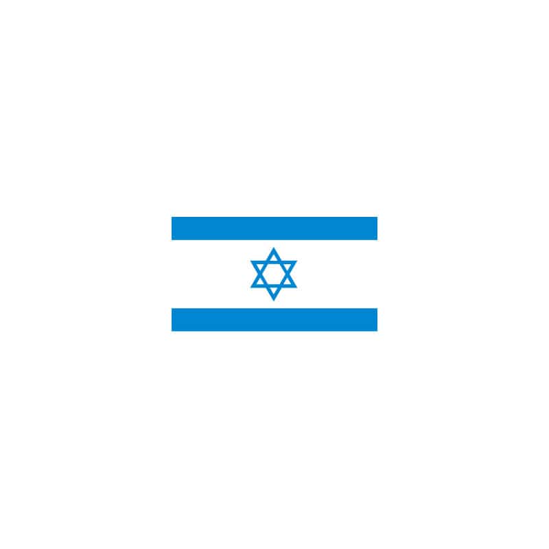 【直送品】 P・O・Pプロダクツ 世界の国旗 L版 22862　イスラエル 1枚（ご注文単位1枚）