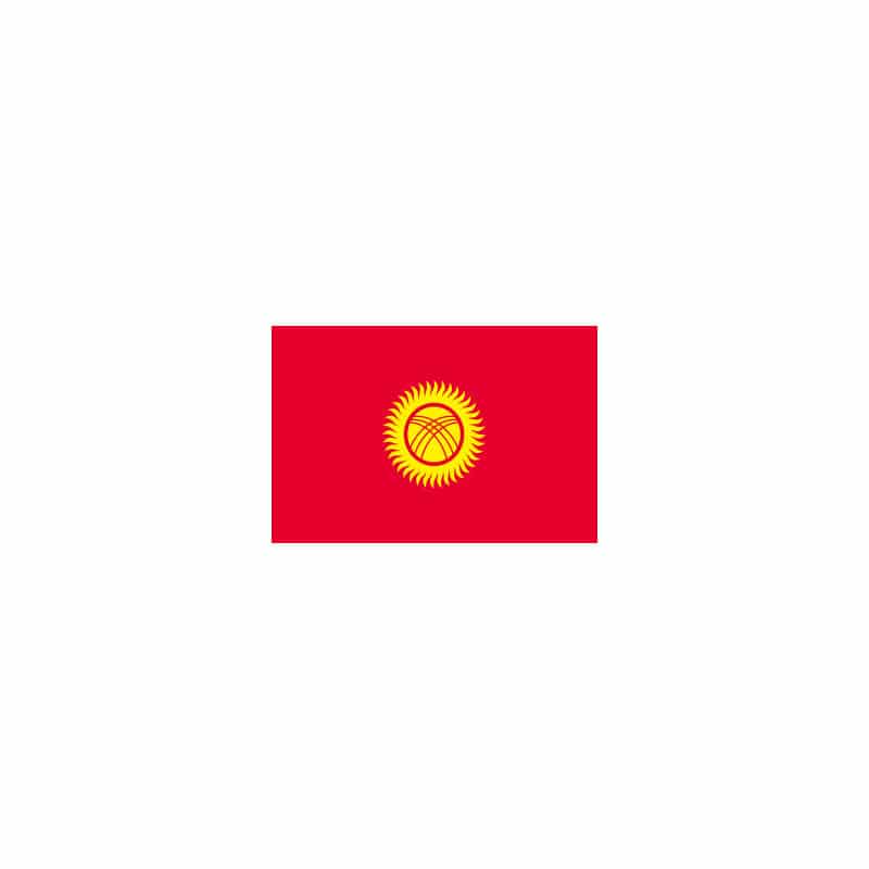 【直送品】 P・O・Pプロダクツ 世界の国旗 L版 22994　キルギスタン 1枚（ご注文単位1枚）