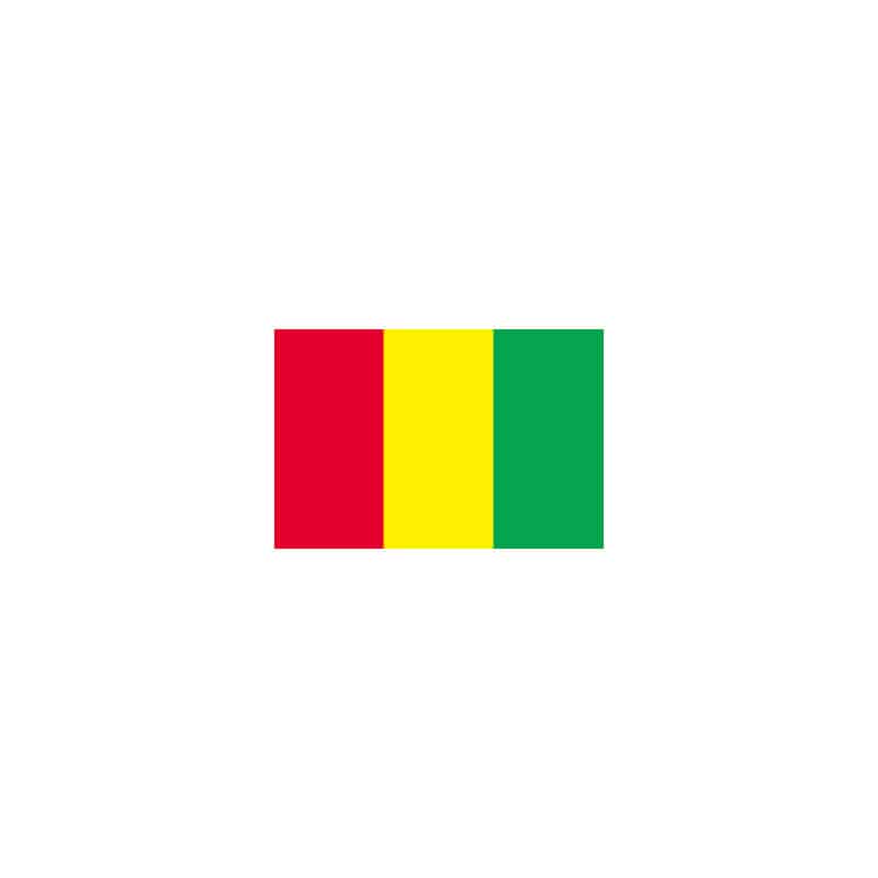【直送品】 P・O・Pプロダクツ 世界の国旗 L版 22998　ギニア 1枚（ご注文単位1枚）