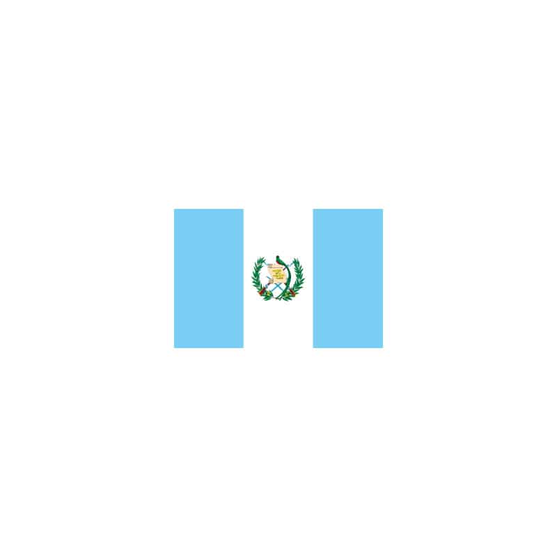 【直送品】 P・O・Pプロダクツ 世界の国旗 No．1 23019　グアテマラ 1枚（ご注文単位1枚）