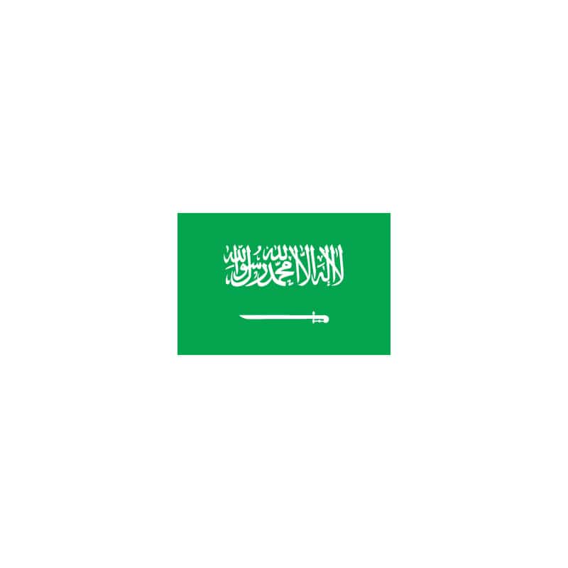【直送品】 P・O・Pプロダクツ 世界の国旗 L版 23058　サウジアラビア 1枚（ご注文単位1枚）