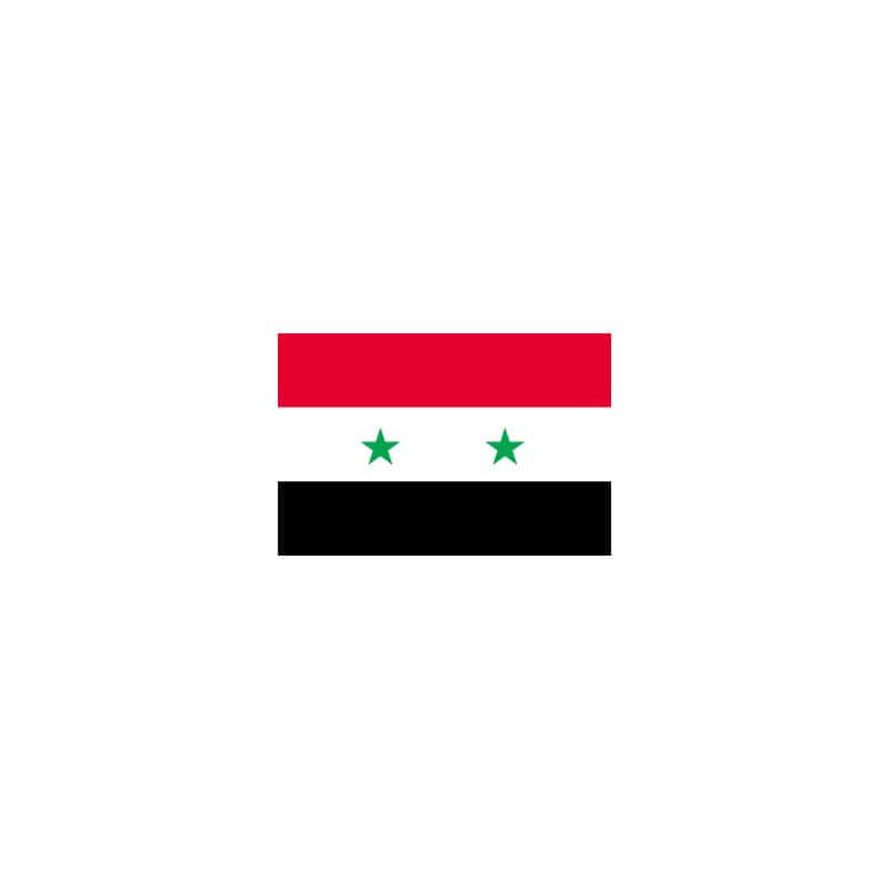 【直送品】 P・O・Pプロダクツ 世界の国旗 L版 23082　シリア 1枚（ご注文単位1枚）