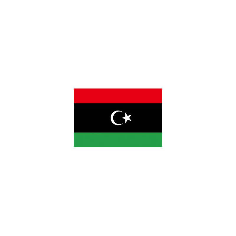 【直送品】 P・O・Pプロダクツ 世界の国旗 L版 23106　新リビア 1枚（ご注文単位1枚）