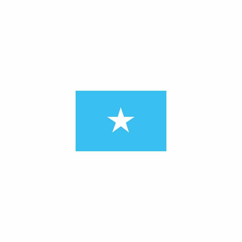 【直送品】 P・O・Pプロダクツ 世界の国旗 ミニフラッグ 23177　ソマリア 1枚（ご注文単位1枚）