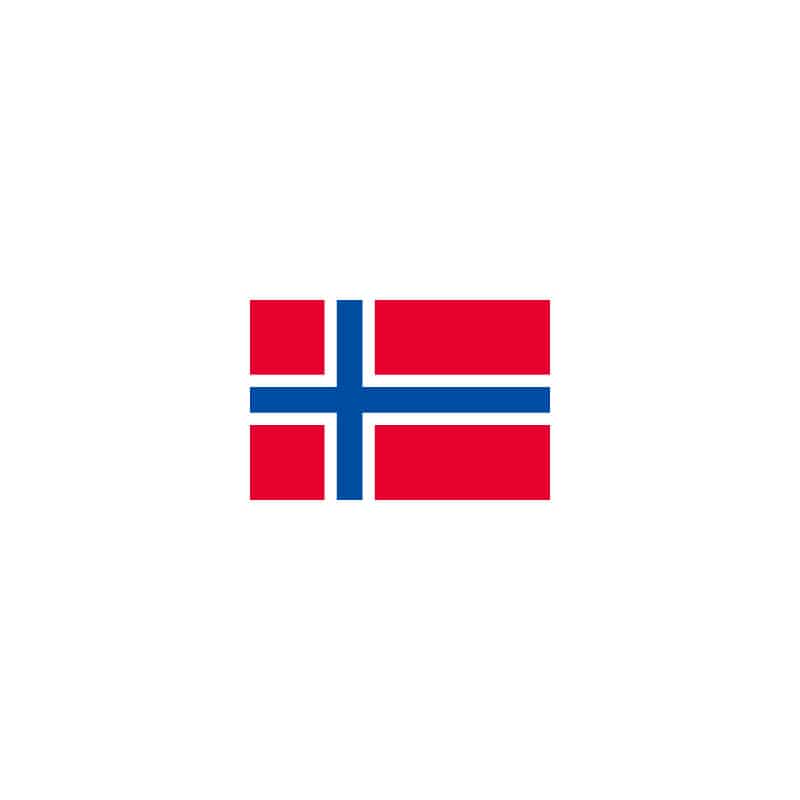 【直送品】 P・O・Pプロダクツ 世界の国旗 No．1 23303　ノルウェー 1枚（ご注文単位1枚）