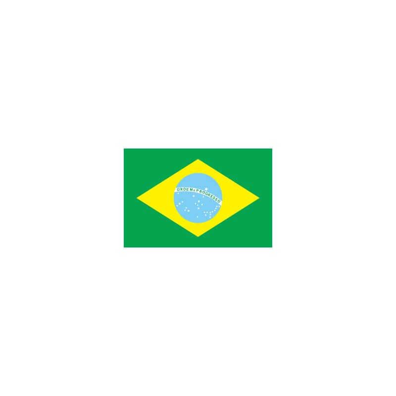 【直送品】 P・O・Pプロダクツ 世界の国旗 L版 23378　ブラジル 1枚（ご注文単位1枚）