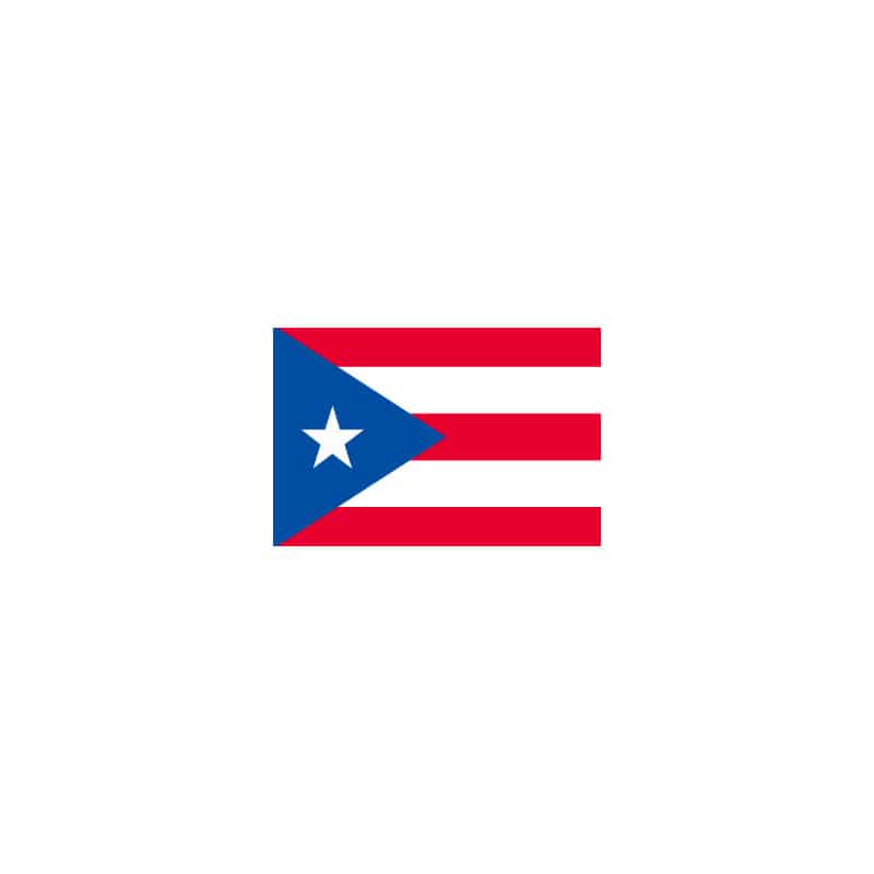 【直送品】 P・O・Pプロダクツ 世界の国旗 L版 23402　プエルトリコ 1枚（ご注文単位1枚）