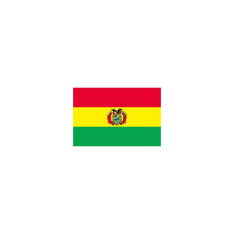 【直送品】 P・O・Pプロダクツ 世界の国旗 L版 23446　ボリビア 1枚（ご注文単位1枚）
