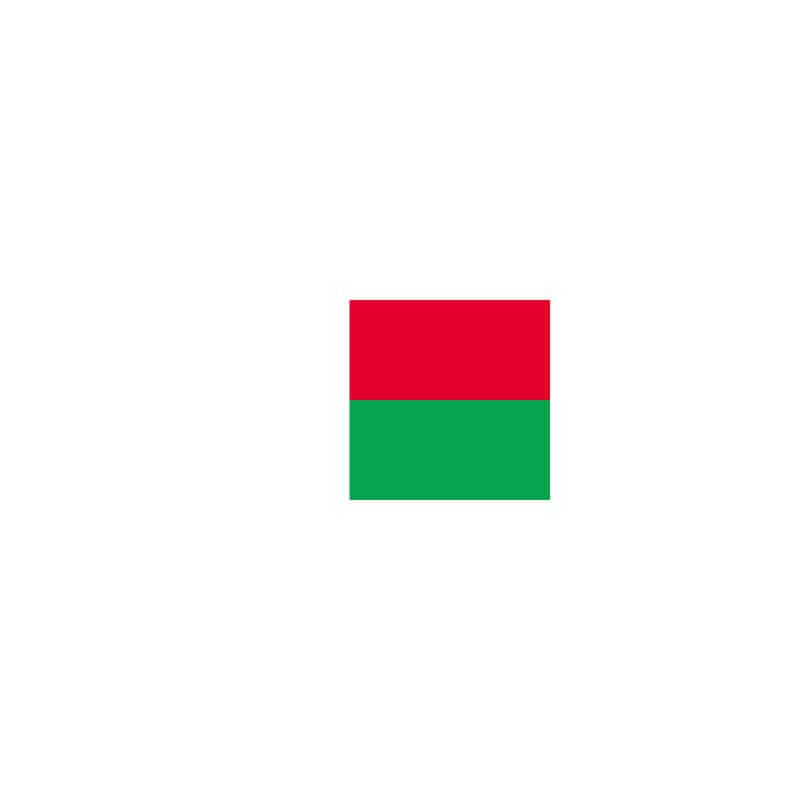 【直送品】 P・O・Pプロダクツ 世界の国旗 L版 23466　マダガスカル 1枚（ご注文単位1枚）