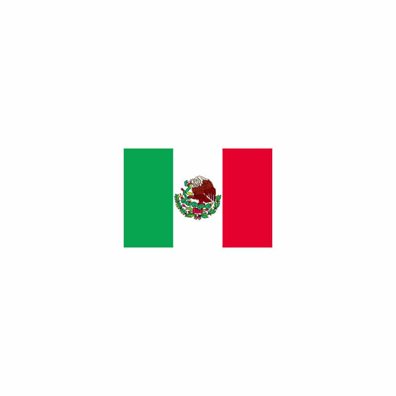 【直送品】 P・O・Pプロダクツ 世界の国旗 L版 23506　メキシコ 1枚（ご注文単位1枚）