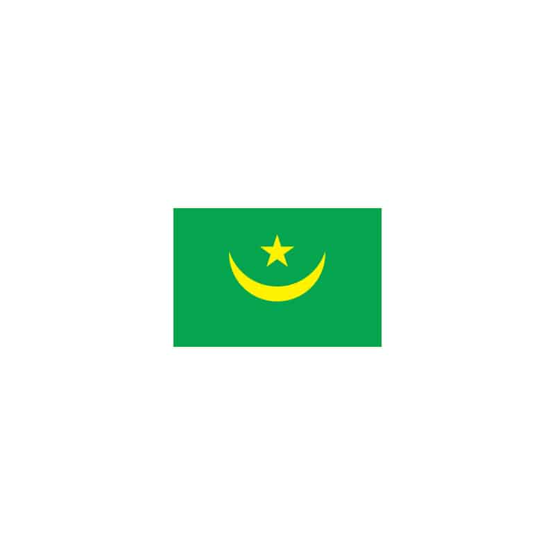 P・O・Pプロダクツ 世界の国旗 No．1 23543　モーリタニア 1枚（ご注文単位1枚）【直送品】