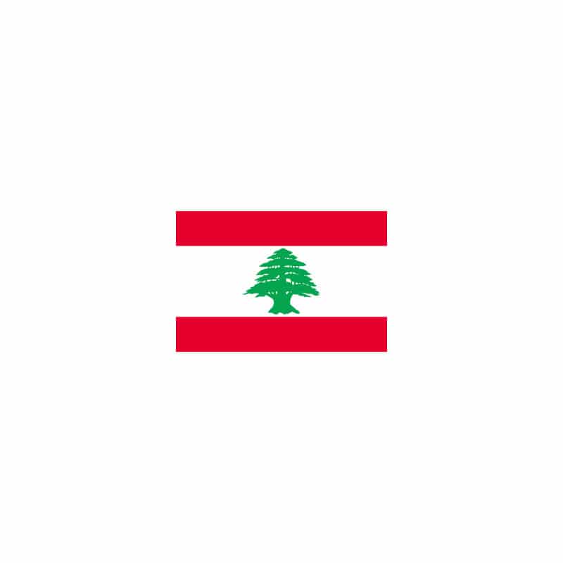 【直送品】 P・O・Pプロダクツ 世界の国旗 ミニフラッグ 23589　レバノン 1枚（ご注文単位1枚）