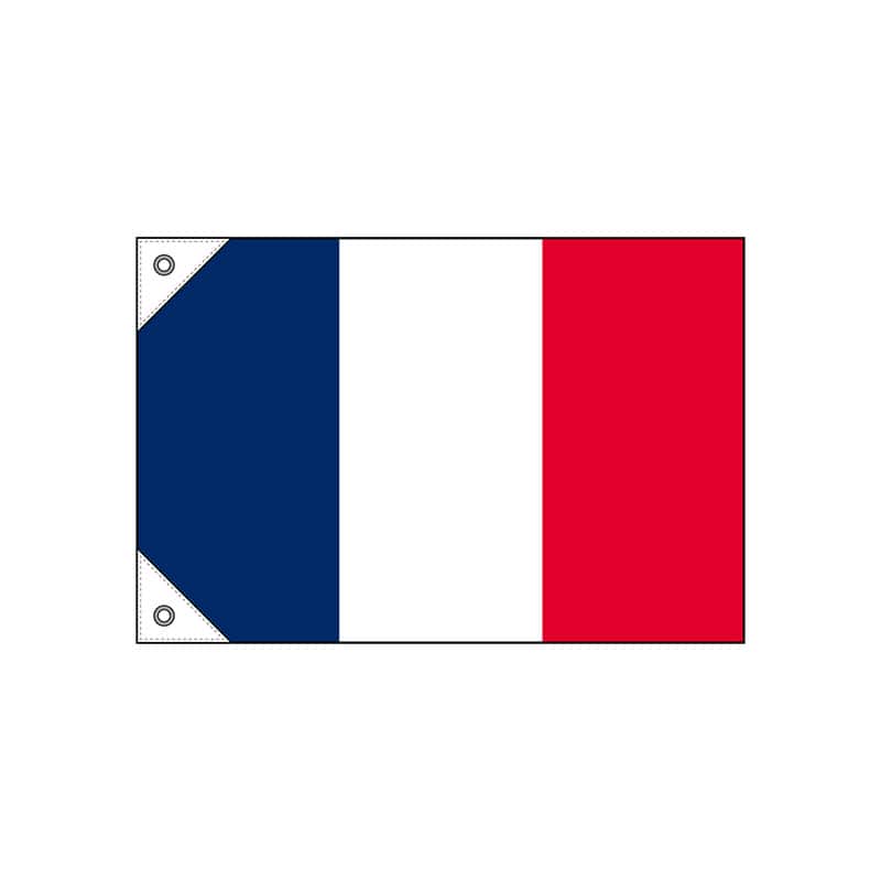 【直送品】 P・O・Pプロダクツ 国旗　販促用 ミニ 23673　フランス 1枚（ご注文単位1枚）