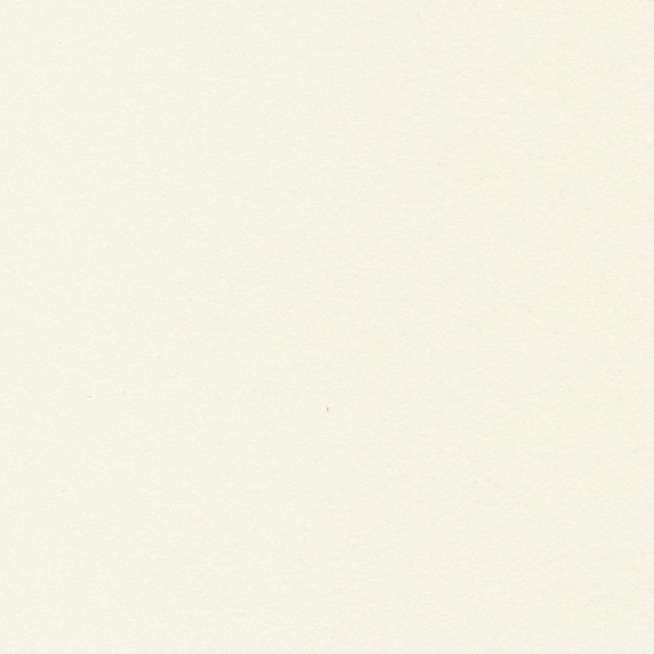 【直送品】 星野 ベーシックカード P　13．ホワイト　323083 50枚/箱（ご注文単位1箱）
