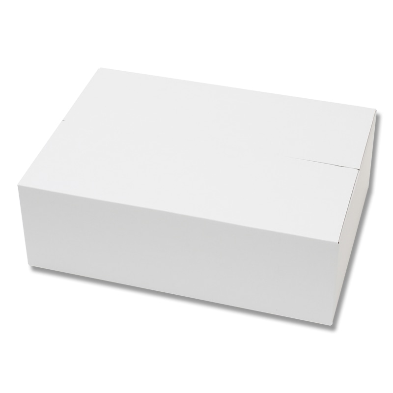 HEIKO 箱 カラーダンボール B4用-120 白 20枚 4901755205930 通販 包装用品・店舗用品のシモジマ オンラインショップ