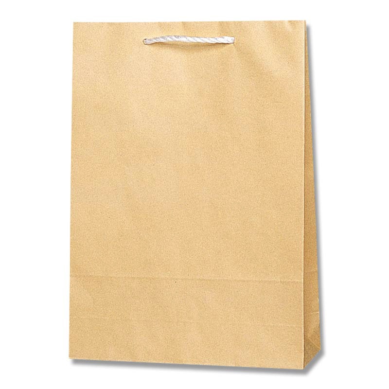 HEIKO 紙袋 T型チャームバッグ 2才 半晒無地 50枚 4901755330267 通販 | 包装用品・店舗用品のシモジマ オンラインショップ