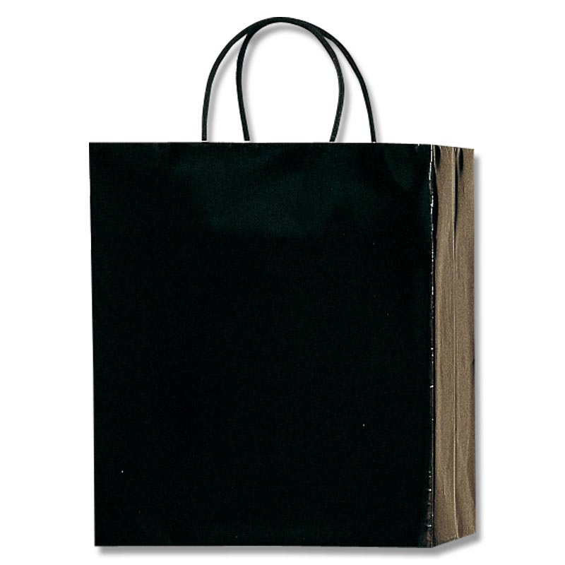 HEIKO 紙袋 PBスムースバッグ M-1 黒 10枚
