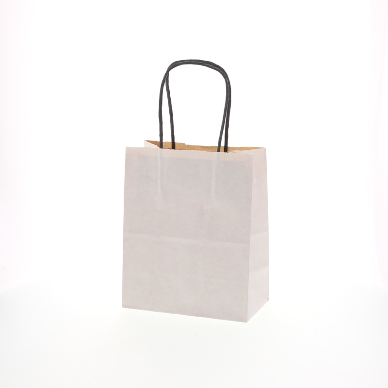 HEIKO 紙袋 25チャームバッグ 25CB 18-1 エコデュオWH 50枚 4901755354171 通販 | 包装用品・店舗用品のシモジマ  オンラインショップ