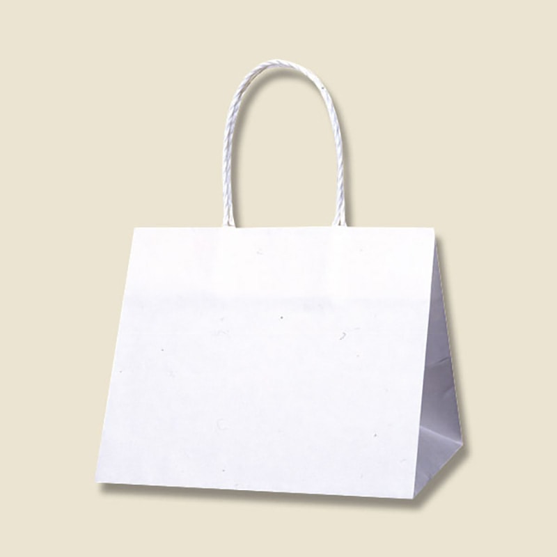 HEIKO 紙袋 Pスムースバッグ 25-19 白無地 25枚 4901755358827 通販 包装用品・店舗用品のシモジマ オンラインショップ
