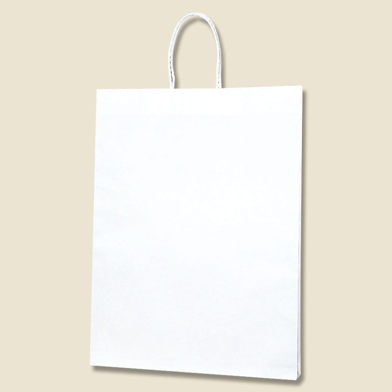 HEIKO 紙袋 Pスムースバッグ 39-4 白無地 25枚 4901755358902 通販