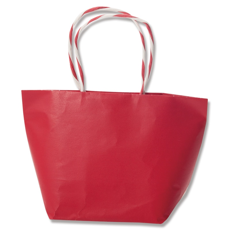 HEIKO 紙袋 プチバッグ F9-6 赤無地 10枚 4901755364354 通販 包装用品・店舗用品のシモジマ オンラインショップ