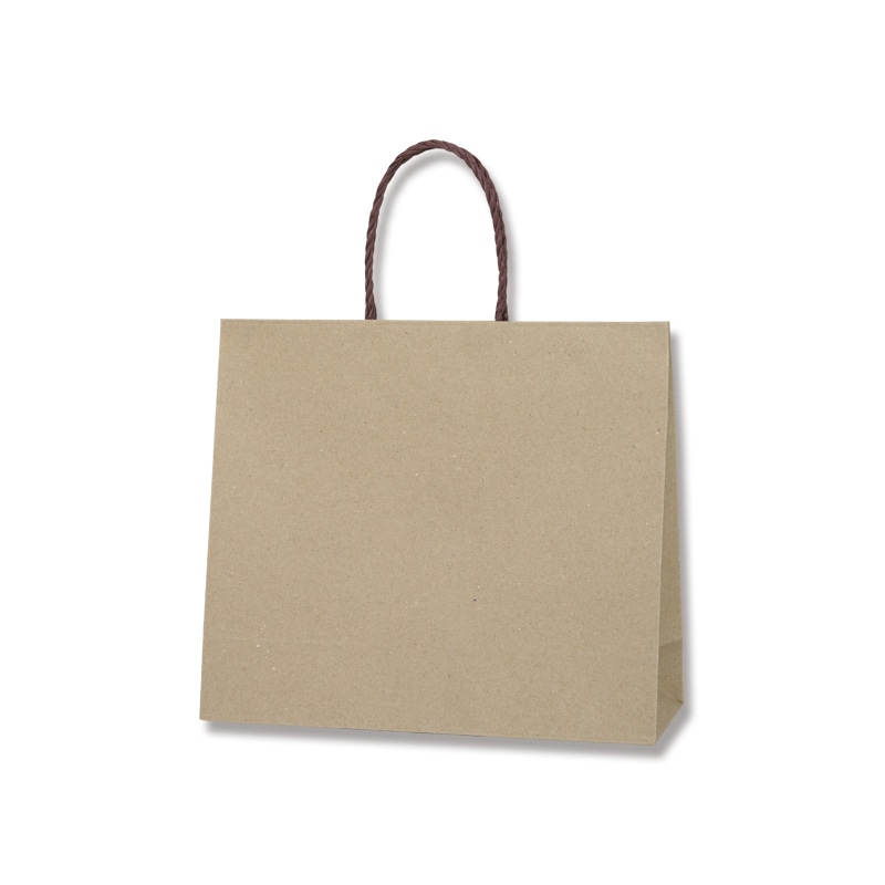 HEIKO 紙袋 スムースバッグ 3才-S ライナー無地 10枚 4901755378092 通販 | 包装用品・店舗用品のシモジマ