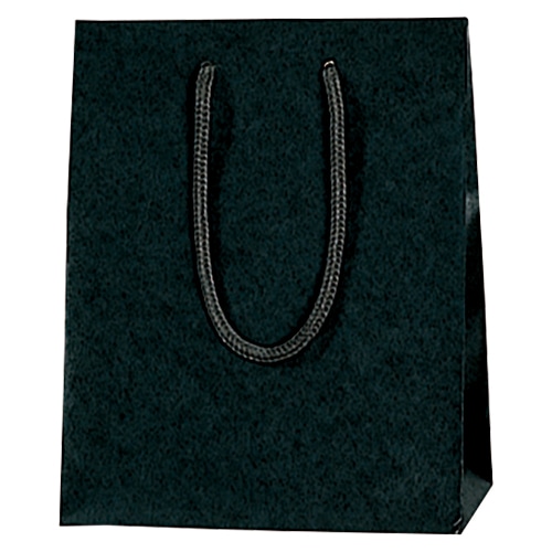 HEIKO 紙袋 カラーチャームバッグ 20-12 黒 10枚