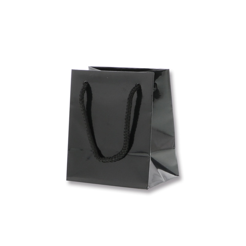 HEIKO 紙袋 ブライトバッグ T-5 黒(グロスPP貼り) 10枚