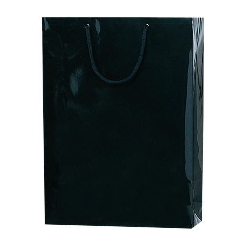 HEIKO 紙袋 ブライトバッグ G2 黒 10枚