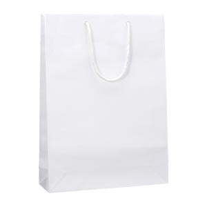 HEIKO 紙袋 ブライトバッグ G2 白 10枚