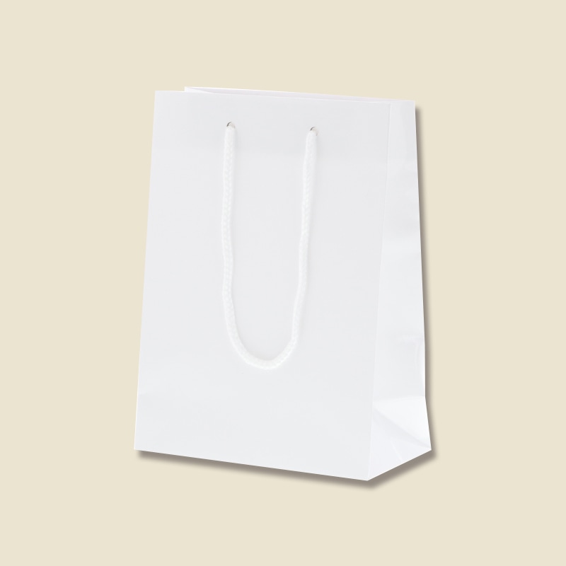 HEIKO 紙袋 ブライトバッグ T-3 白 10枚