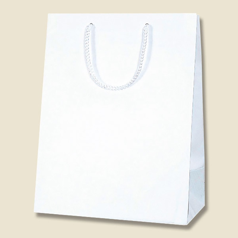 HEIKO 紙袋 Kバッグ T-6 N白エンボス 10枚