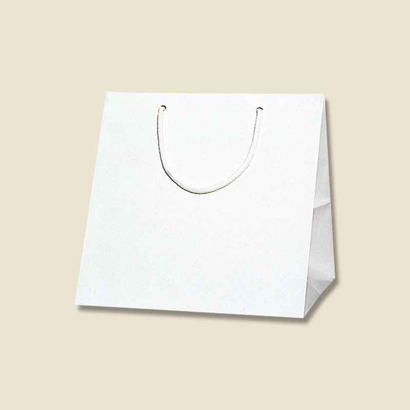 HEIKO 紙袋 ブライトバッグ C-1 シロ 10枚 4901755590661 通販 包装用品・店舗用品のシモジマ オンラインショップ
