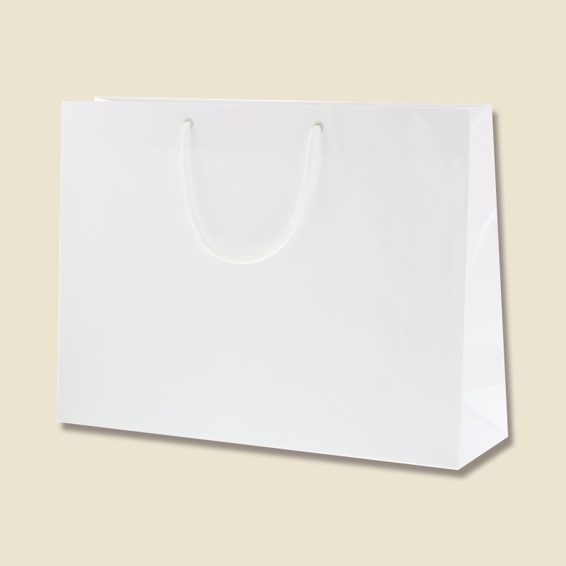 HEIKO 紙袋 ブライトバッグ Y2 白 10枚 4901755590784 通販 包装用品・店舗用品のシモジマ オンラインショップ