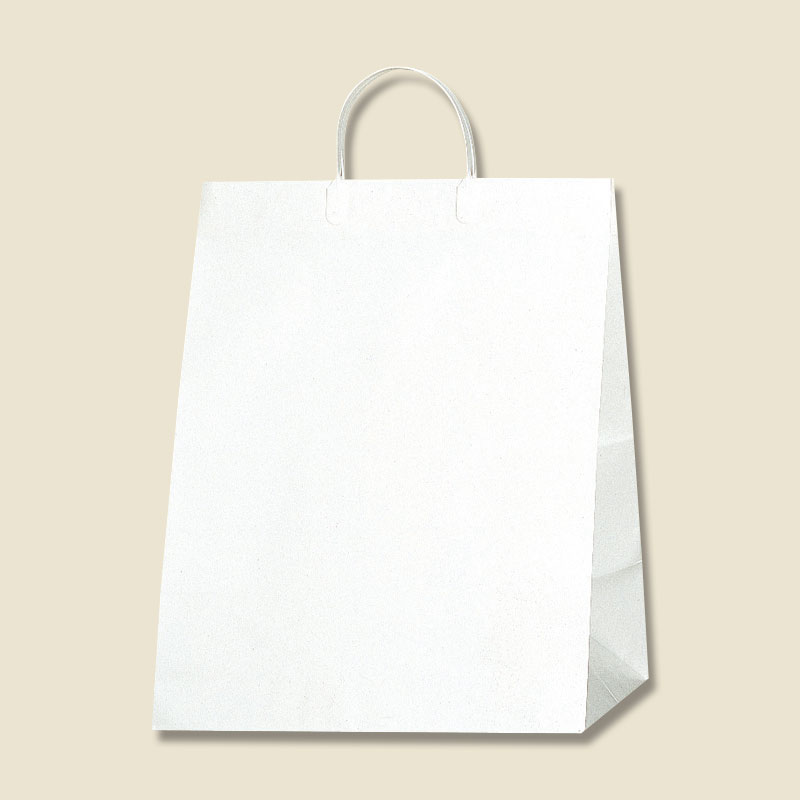 HEIKO 紙袋 ワイドバッグ M Nホワイト 10枚