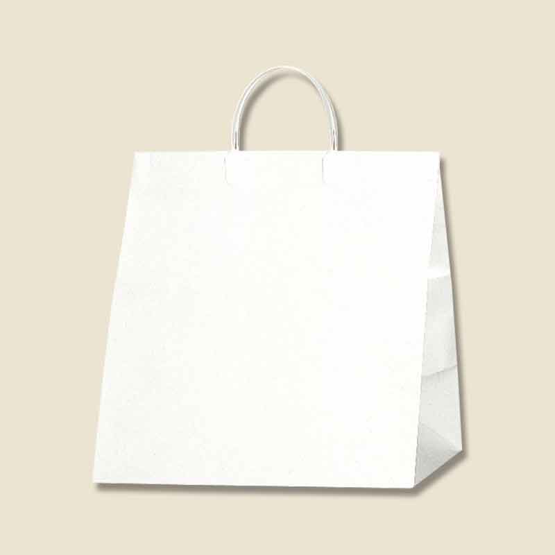 HEIKO 紙袋 ワイドバッグ S Nホワイト 10枚