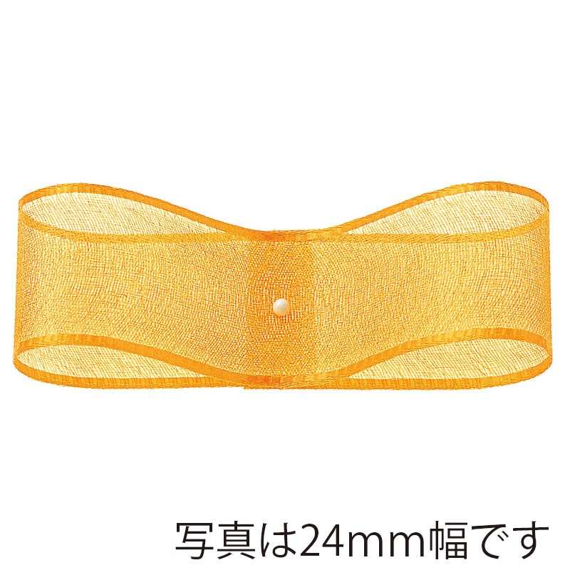 【直送品】 東京リボン リボン　オーガンジー・H　47700 12×30 ＃3 1巻（ご注文単位1巻）