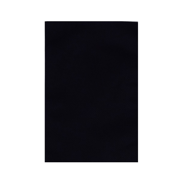 【直送品】 エーワン 不織布平袋 ソフトバッグベーシック S1薄 黒 LS0101NR00 100枚/束（ご注文単位1束）