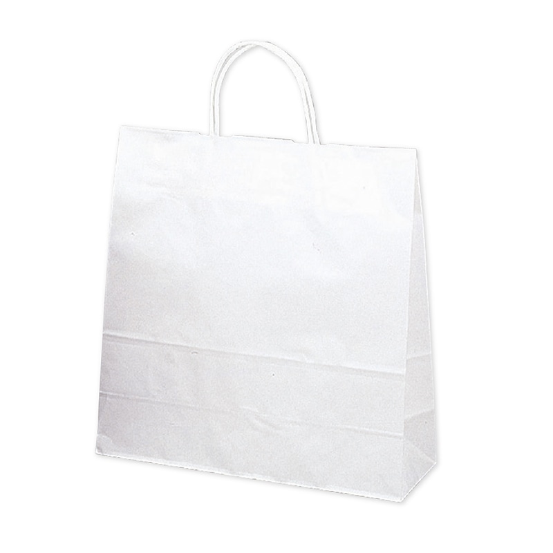 【直送品】 ササガワ 手提げ紙袋 白無地　中　10枚 50－6200 1包（ご注文単位1包）