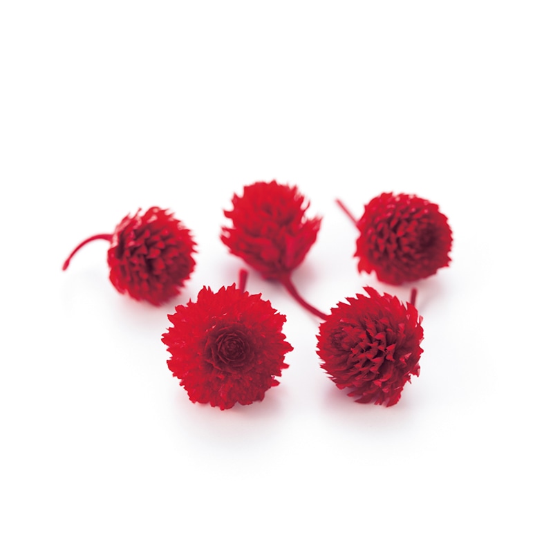 【年中無休】 ドライフラワー　赤　濃いピンク　材料　ストロベリーフィズ　素材　花材　レッド　ラズベリーフィズ　（ミックス）　ホワイト