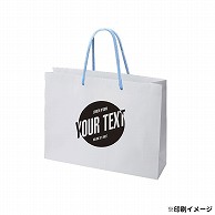 【オリジナル印刷】特注TCB 高級手提げ袋 320×110×250 1色 ベタ無 1000枚