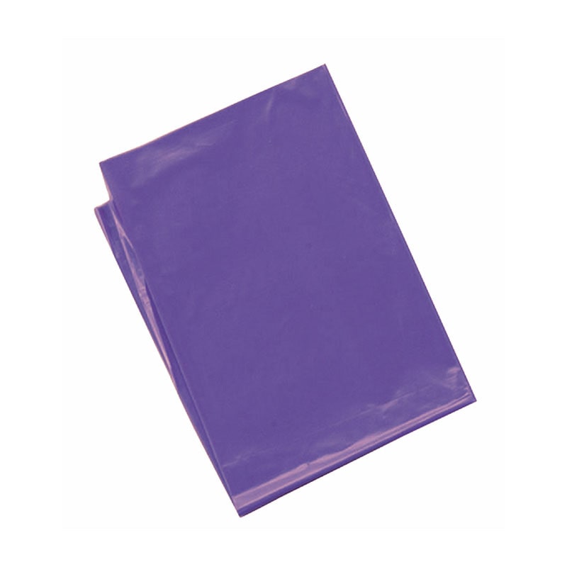 ㈱アーテック紫　カラービニール袋（１０枚組） 1袋（ご注文単位1袋）【直送品】